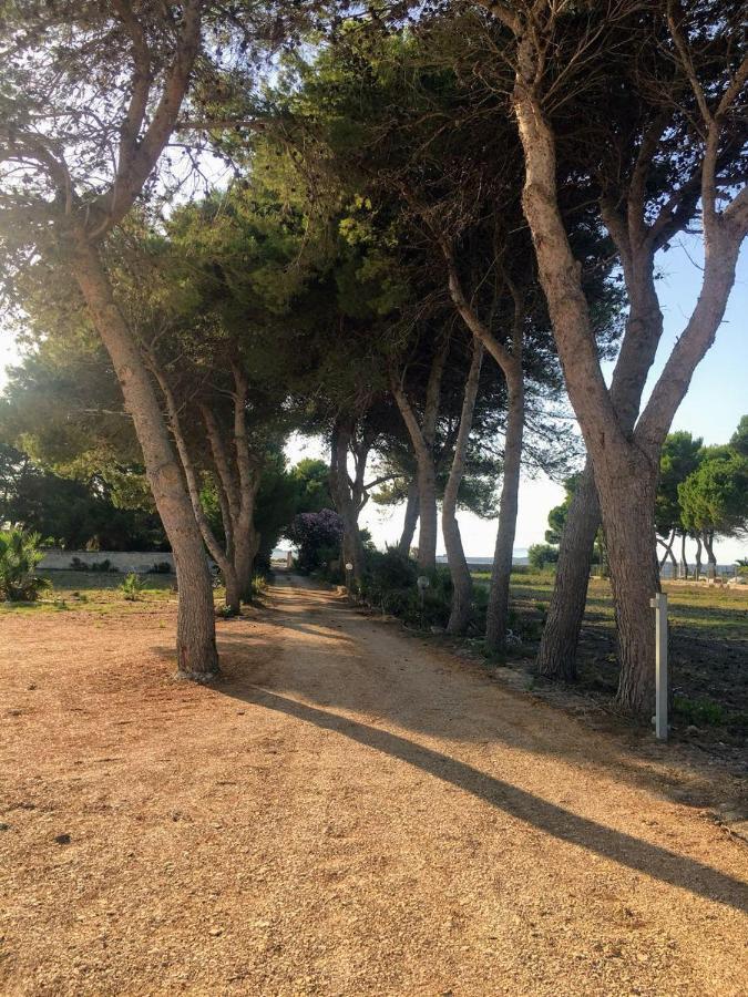 Case Vacanze Spagnola 106 Marsala Dış mekan fotoğraf